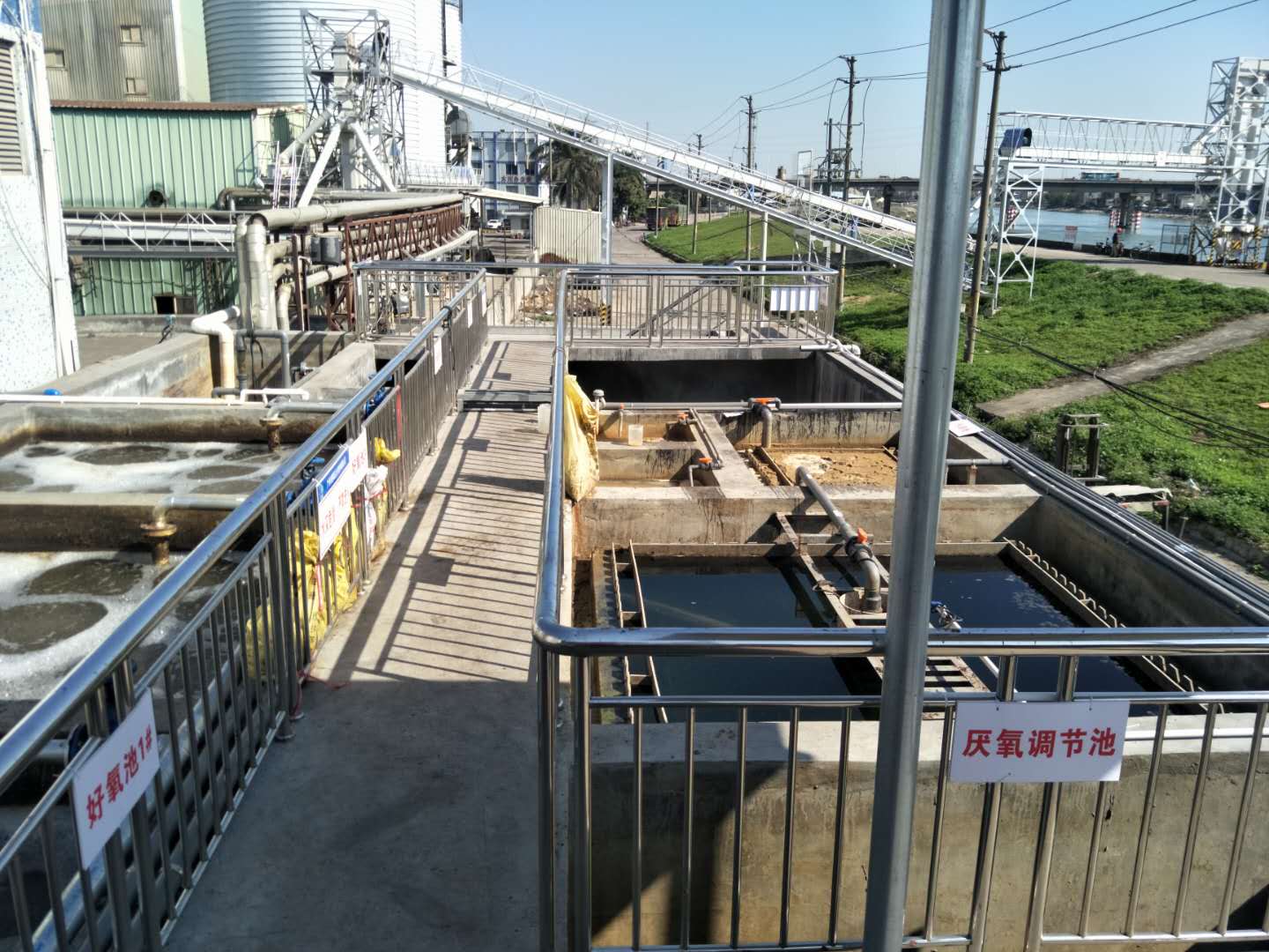 食品廢水植物處理技術(shù)，你知道嗎？